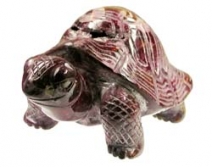 Schildkröte Mookait